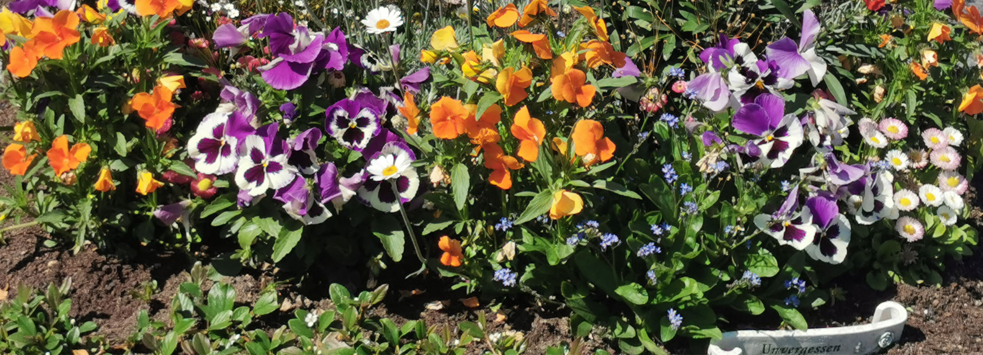 Galerie Friedhofsg&auml;rtnerei Gebhard Eppingen