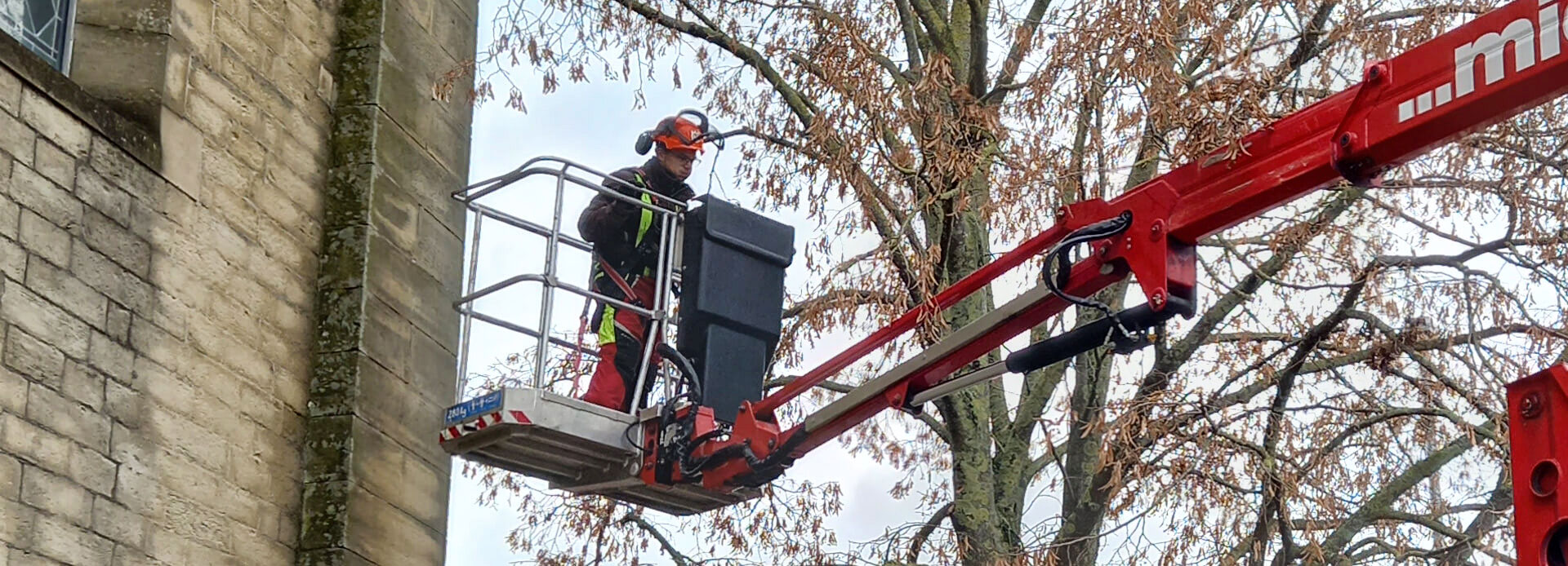 B&auml;ume schneiden und R&uuml;ckschnitt
