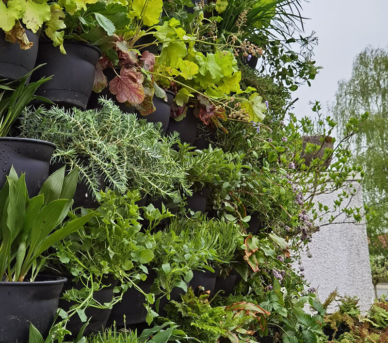Vertikale Begr&uuml;nung im Au&szlig;enbereich