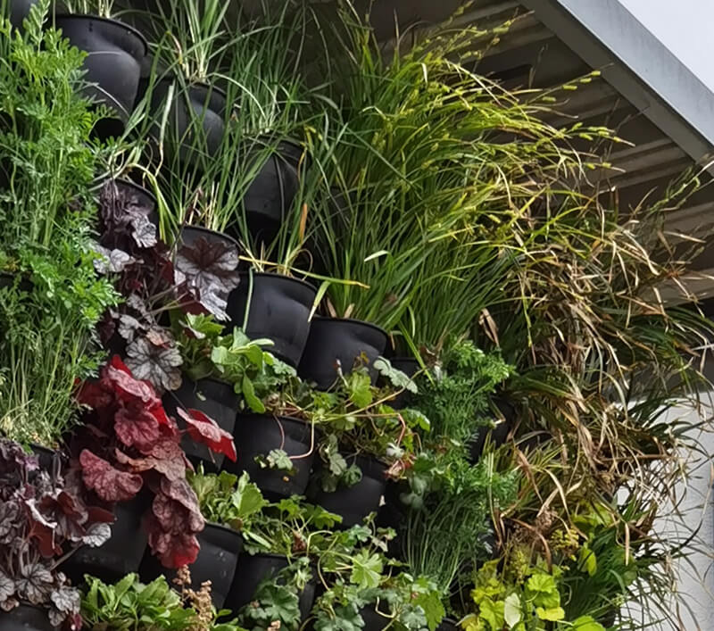 Fassadenbegr&uuml;nung