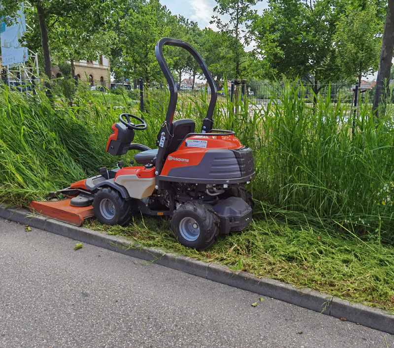 Laub entfernen im Garten