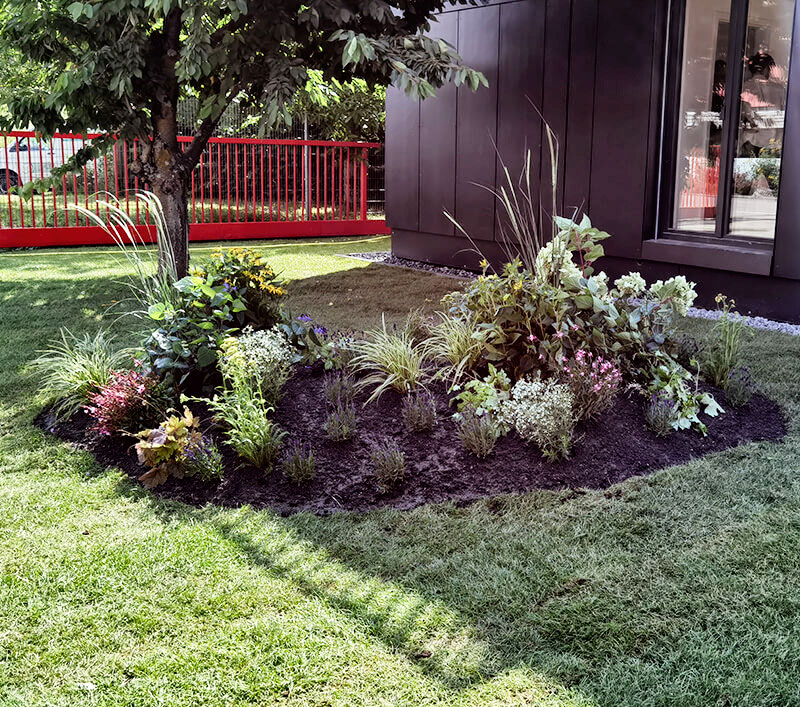 Neubepflanzung Ihres Gartens