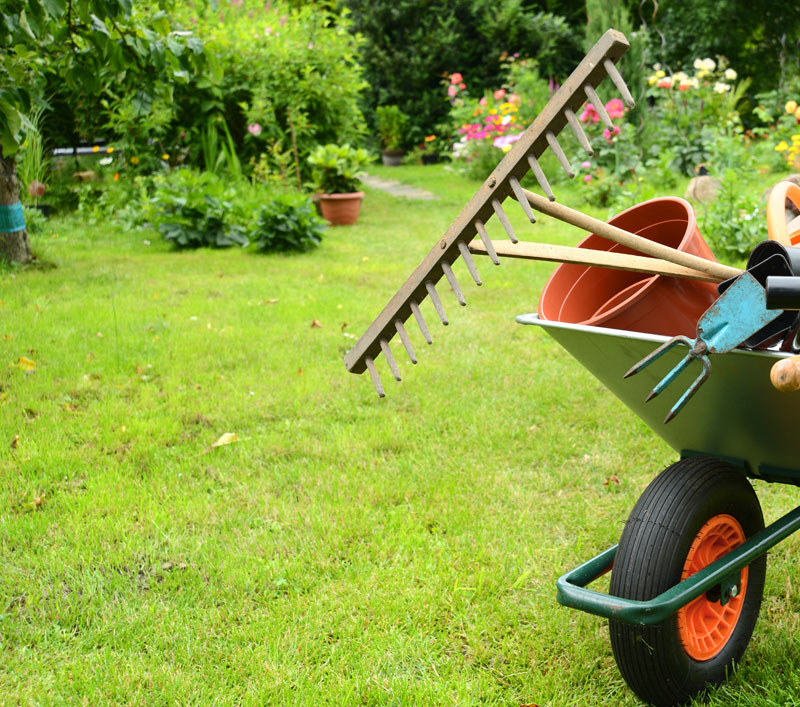 Rasen m&auml;hen und vertikutieren