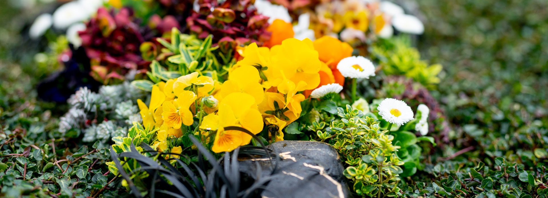 Auszeichnungen f&uuml;r Gebhard ihrem Dienstleistungsg&auml;rtner