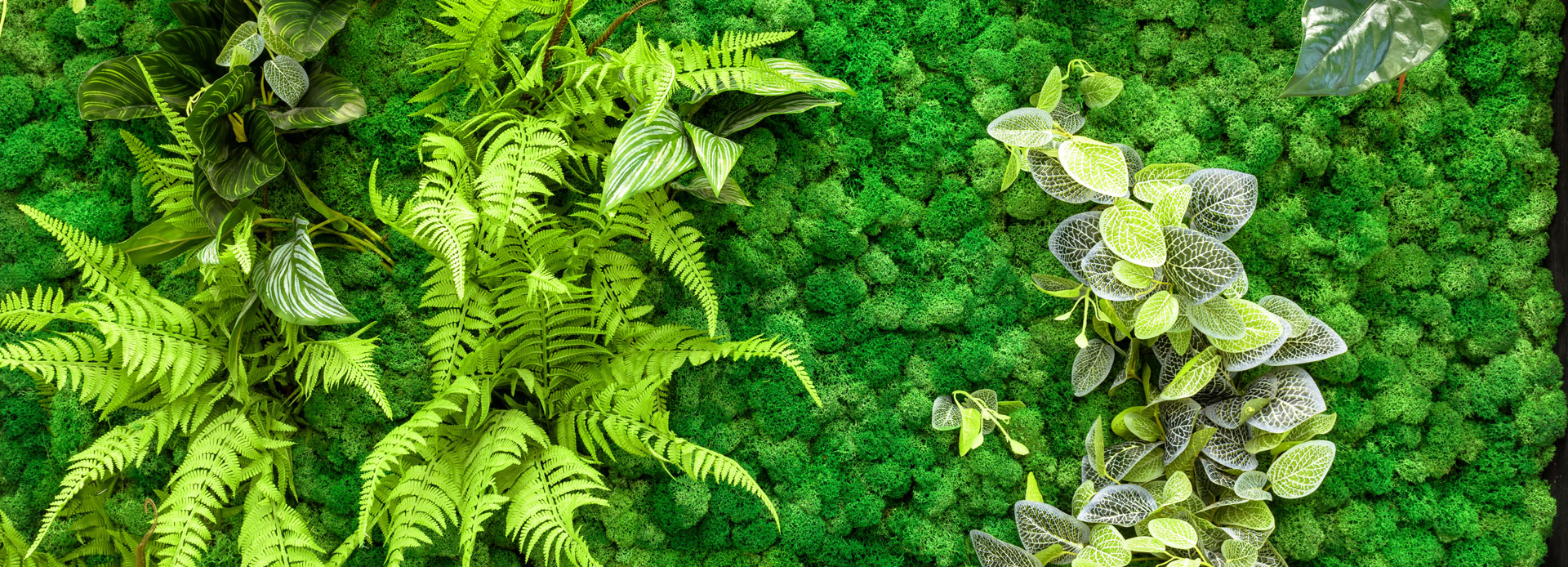 Galerie Innenraumberg&uuml;nung Gebhard Eppingen